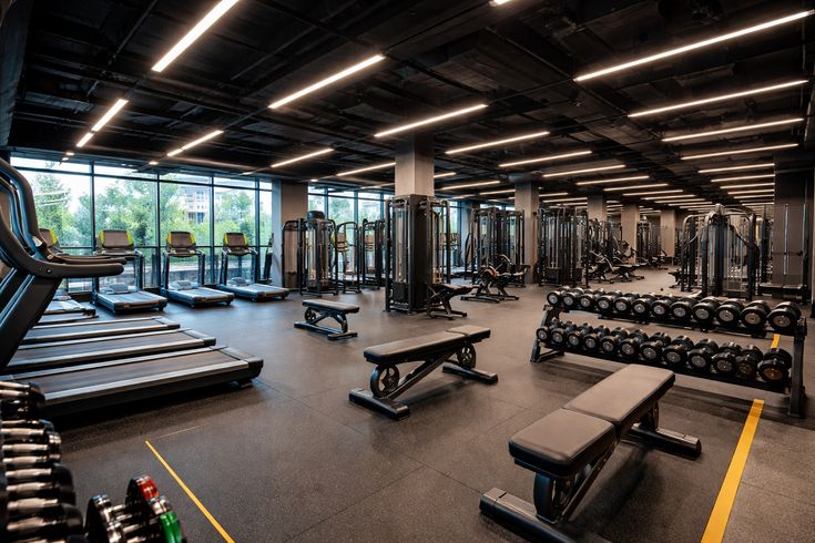 The Ultimate Fitness