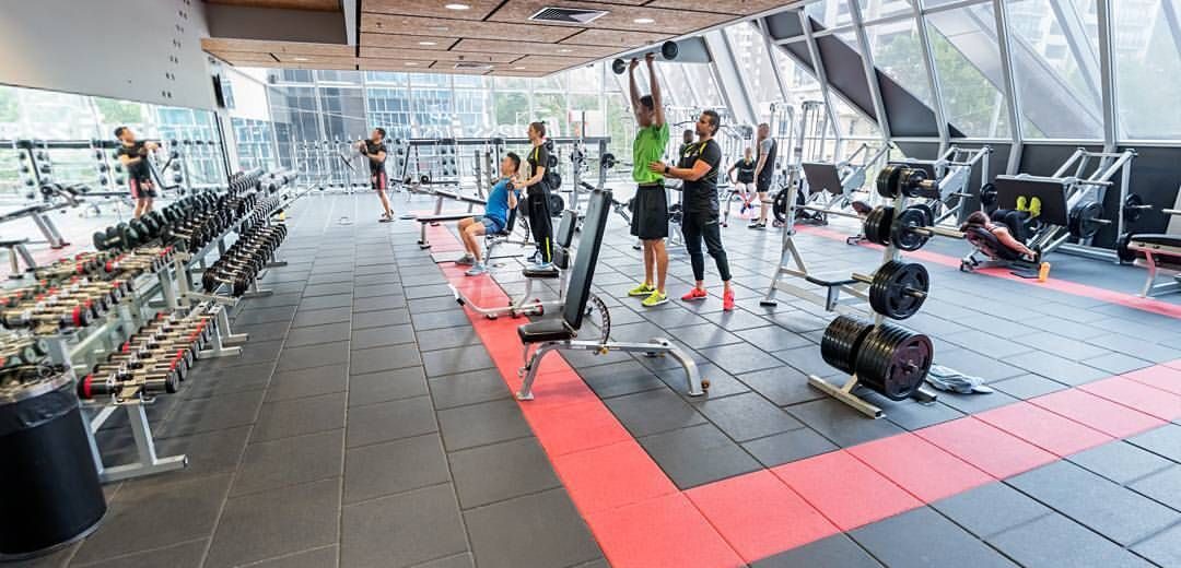 The Ultimate Fitness